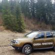 Sancțiuni de peste 150.000 de lei aplicate de Garda Forestieră Suceava după depistarea unor transporturi fictive de material lemnos