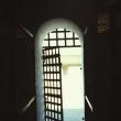 „Tifus în închisoarea din Suceava”