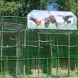 Arca lui Noe, noul colț zoologic al lui Șoimaru, deschis la Zaharești, de Ziua Copilului