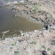 Anchetă penală privind o mortalitate piscicolă mare pe un luciu de apă de lângă râul Siret, la Dolhasca