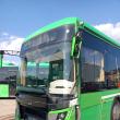 Două autobuze ale TPL s-au ciocnit în sensul giratoriu de la Bazar