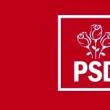 PSD Suceava atrage atenția că haosul din PNL destabilizează România