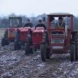 Presa veche 20 martie cu foto TRACTOARE (1)