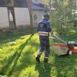 Program de cosire a spațiilor verzi de printre blocuri, în municipiul Suceava