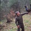 Prietenie incredibilă între un bucovinean și un cocoș de munte, de mai bine de patru ani