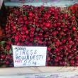Au apărut pe piața suceveană cireșele românești