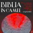 Expoziția „Biblia în camee”, a artistului german Andreas Roth, la Muzeul de Istorie, pentru prima dată în România
