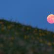 „Luna Căpșunăˮ – fenomenul astronomic spectaculos care se repetă peste 18 ani