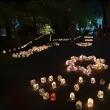 Cercetașii Centrului Local “Ținutul Fagilor” organizează astăzi în parcul central din Suceava o nouă ediție a Festivalului Luminii