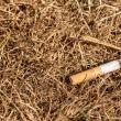 De beat ce era și-a incendiat, din greșeală, o anexă după ce a aruncat neglijent un muc de țigară