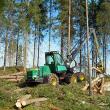„Exploatări forestiere”