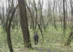 Bărbat găsit spânzurat cu o funie, în pădurea Zamca