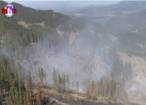 Pompierii s-au chinuit cinci zile să stingă un incendiu de pădure extins pe 40 de hectare