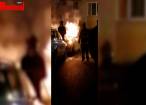 Răzbunări în stil mafiot - taxiurile a doi frați, incendiate după ce aceștia i-au reclamat pe pirații auto